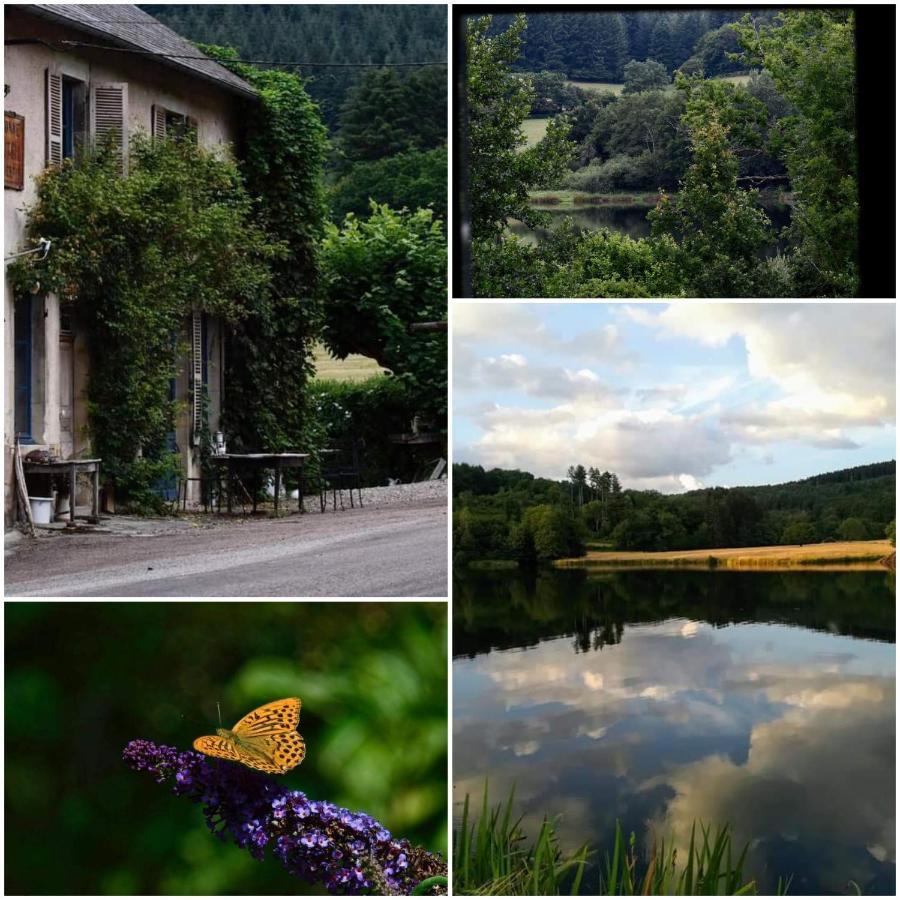 Chambres D'Hotes A L'Etang D'Yonne Arleuf 外观 照片